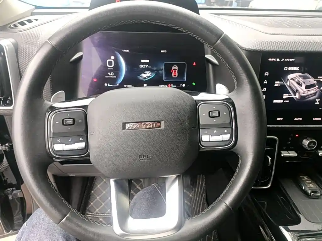 Haval Big Dog — фото 11