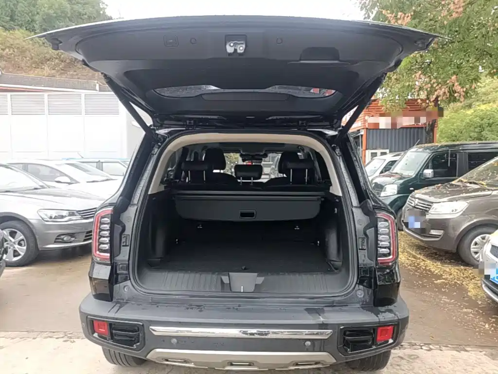Haval Big Dog — фото 19