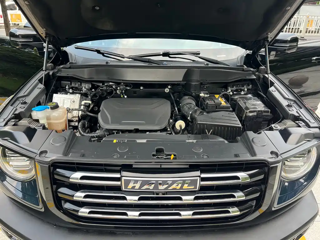 Haval Big Dog — фото 14