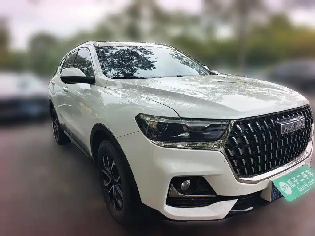 Haval H6 — фото 24
