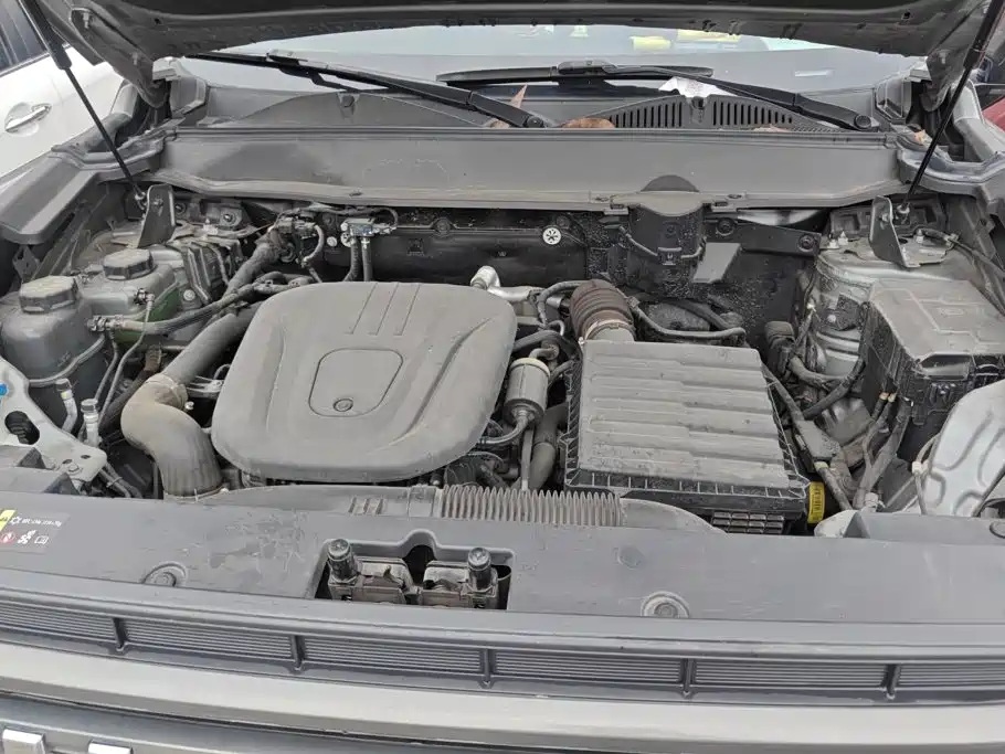 Haval Menglong New Energy — фото 10