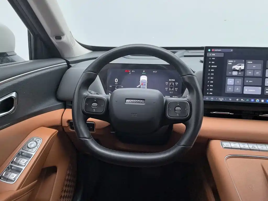 Haval Xiaolong MAX — фото 11