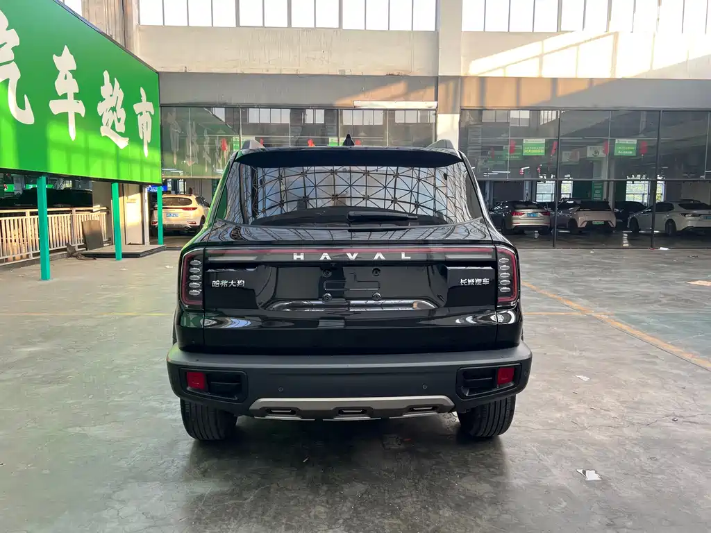 Haval Big Dog — фото 9