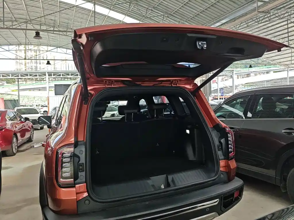 Haval Big Dog — фото 19