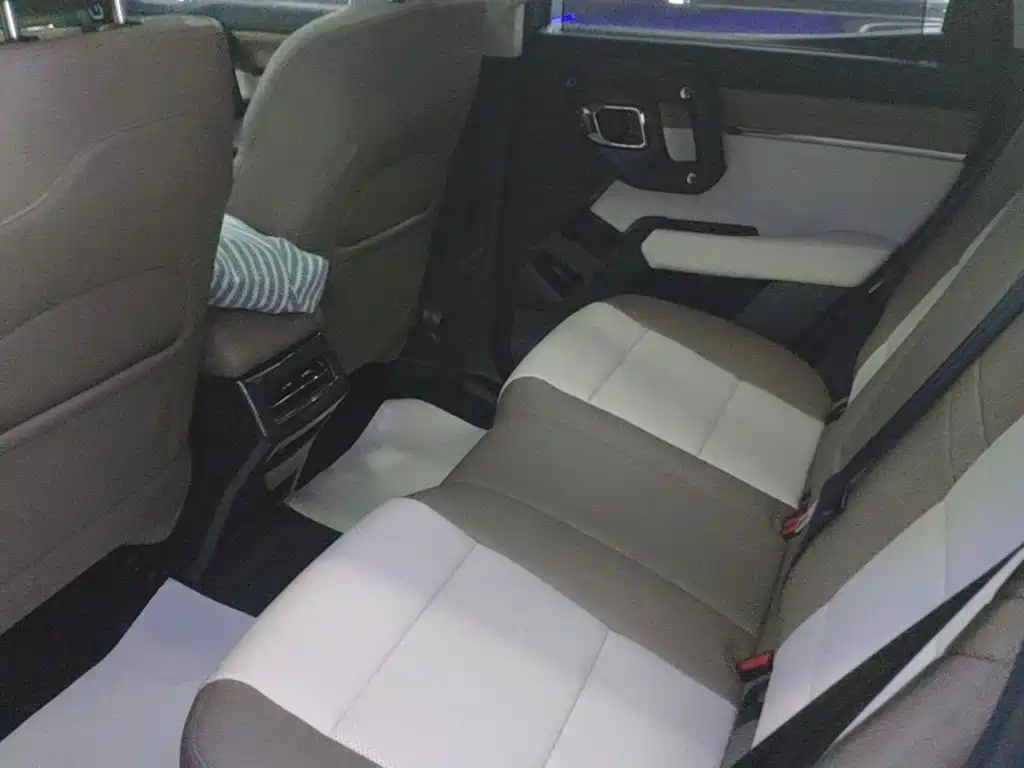 Haval Big Dog PLUS New Energy — фото 17