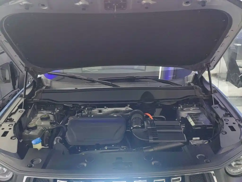Haval Big Dog PLUS New Energy — фото 20