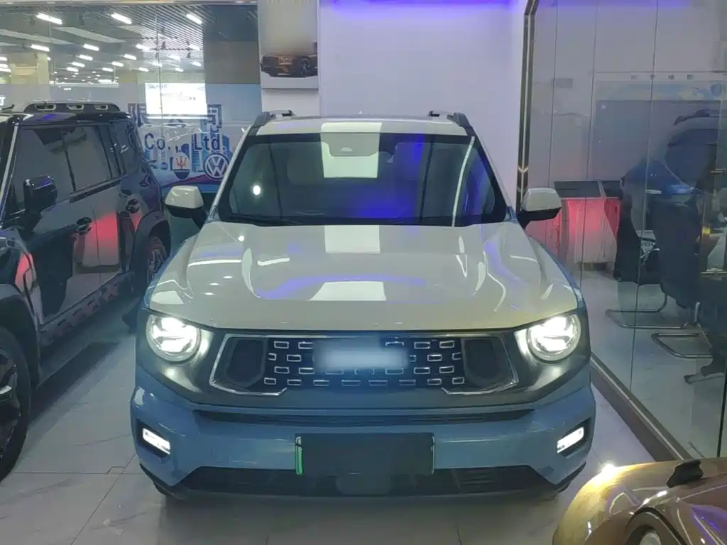 Haval Big Dog PLUS New Energy — фото 3
