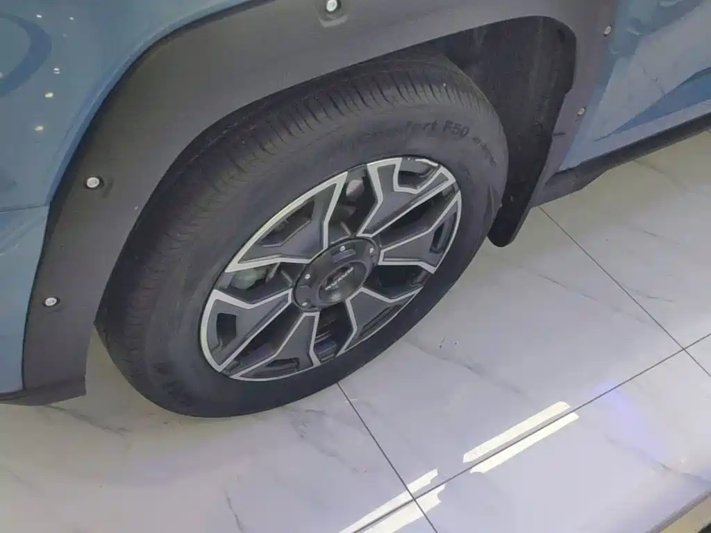 Haval Big Dog PLUS New Energy — фото 23