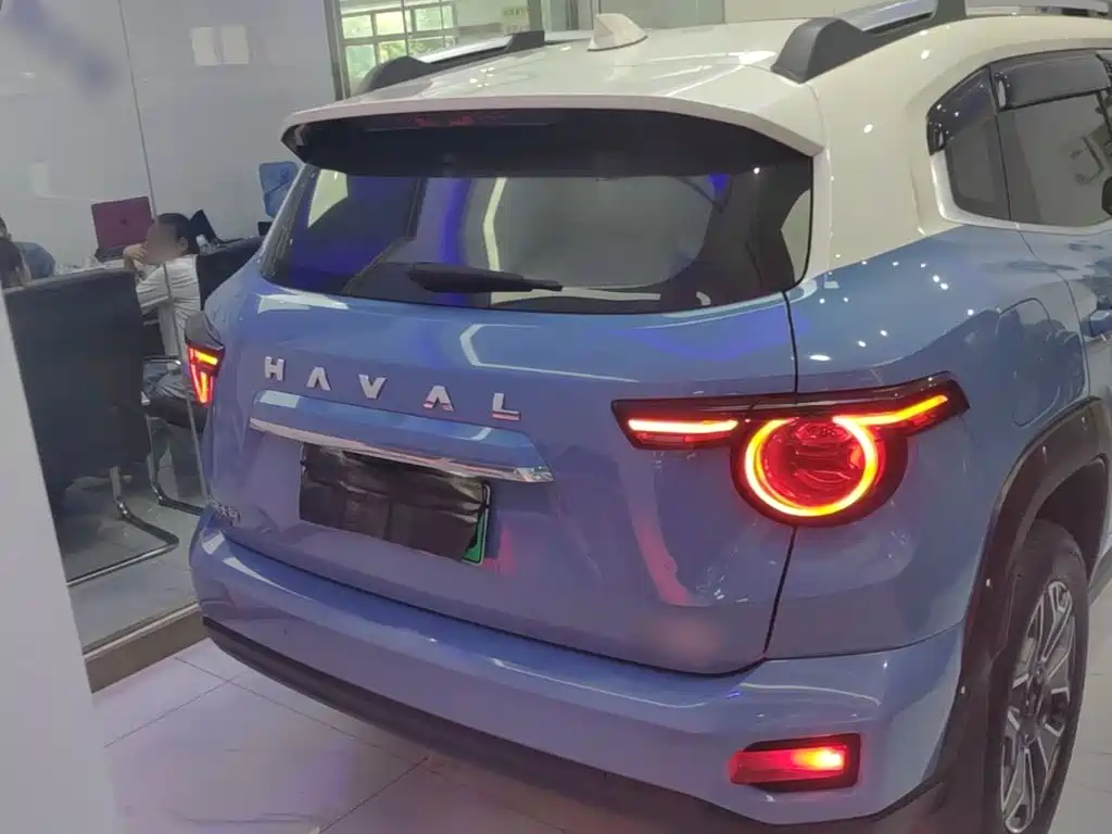 Haval Big Dog PLUS New Energy — фото 6