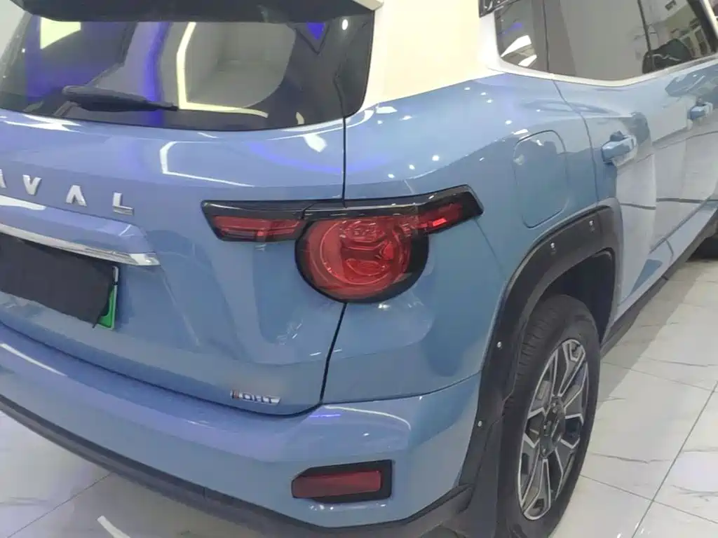 Haval Big Dog PLUS New Energy — фото 8