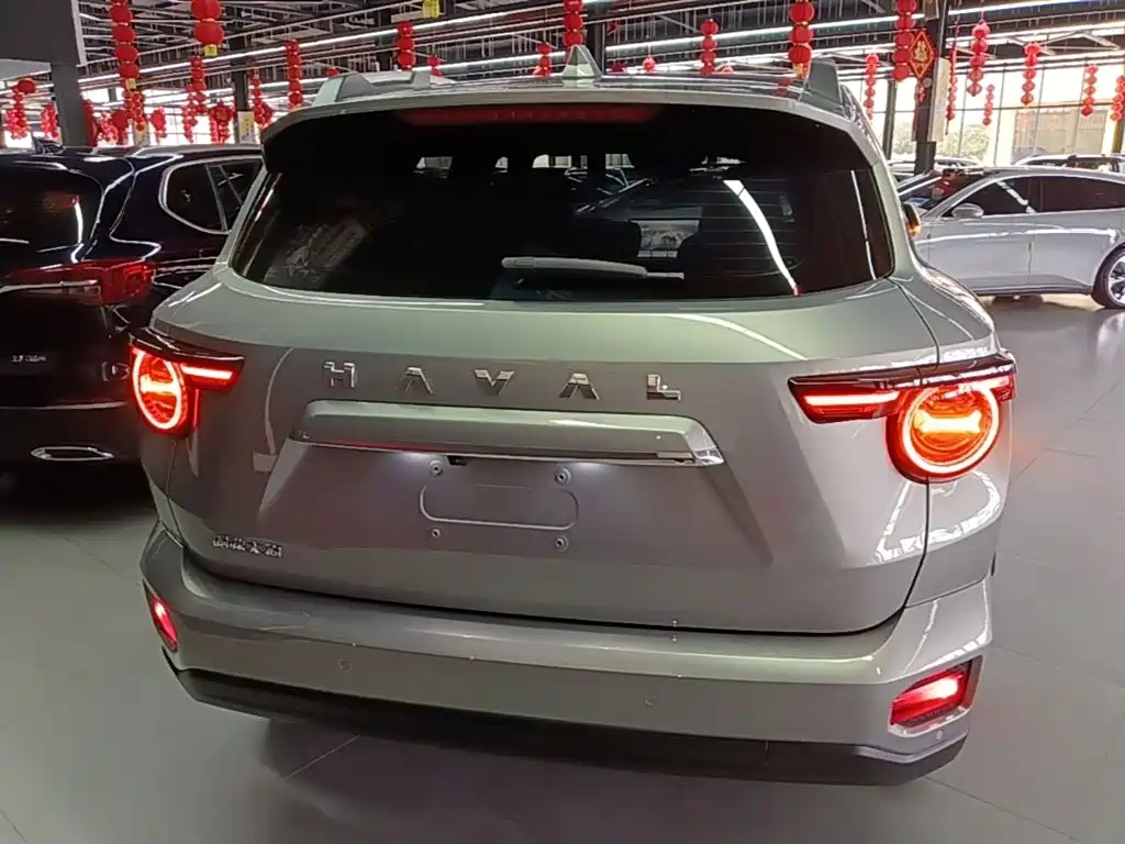 Haval Big Dog PLUS — фото 6