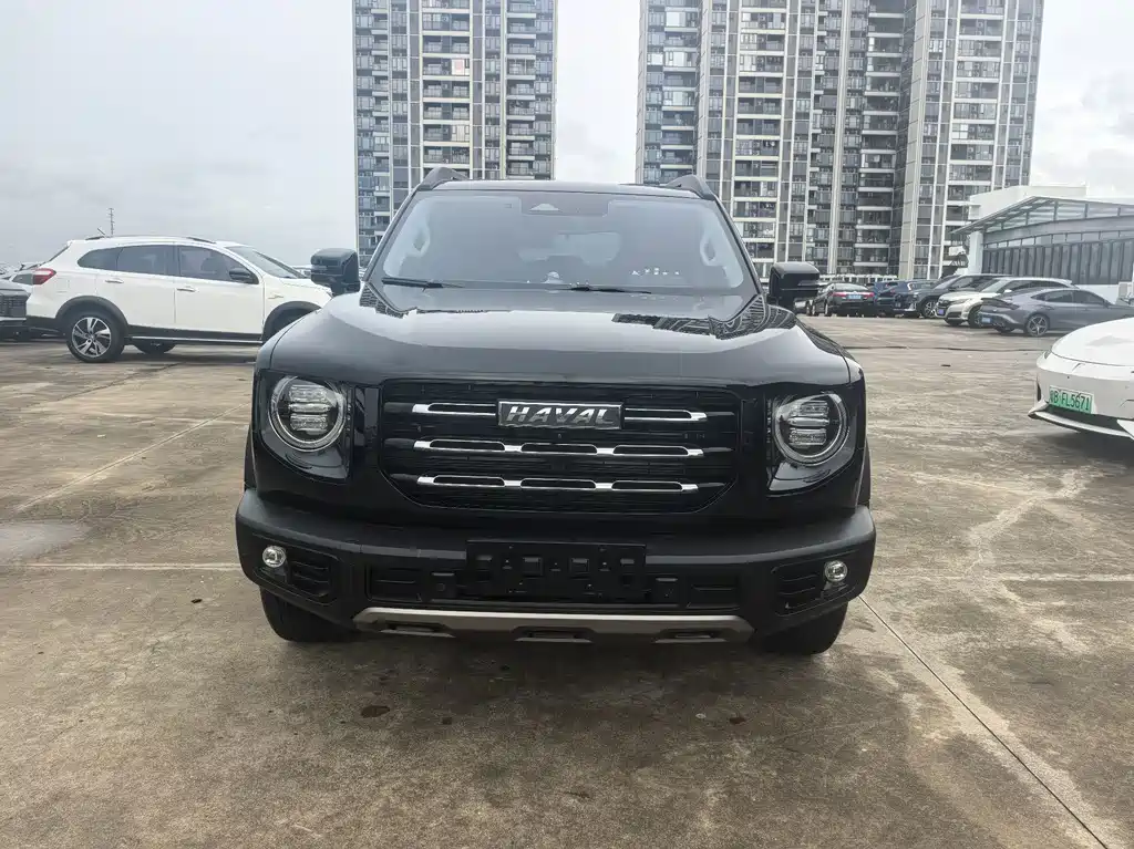 Haval Big Dog — фото 3