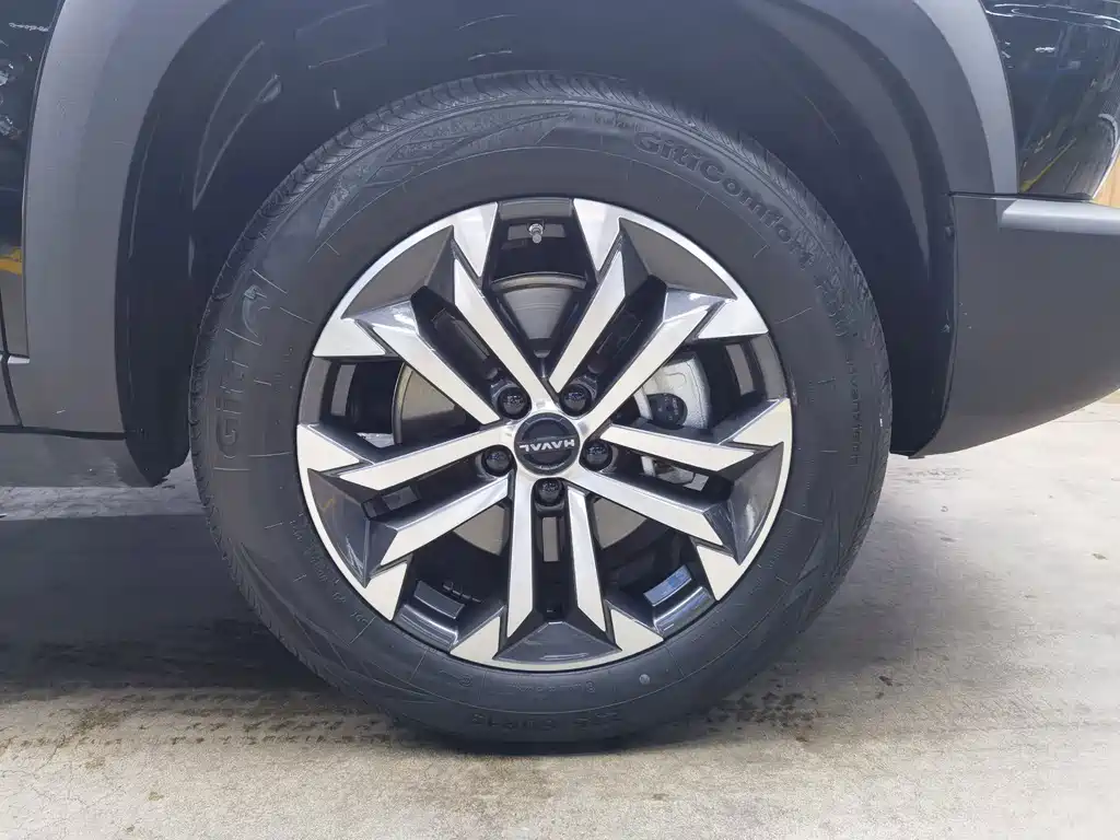 Haval Big Dog — фото 17