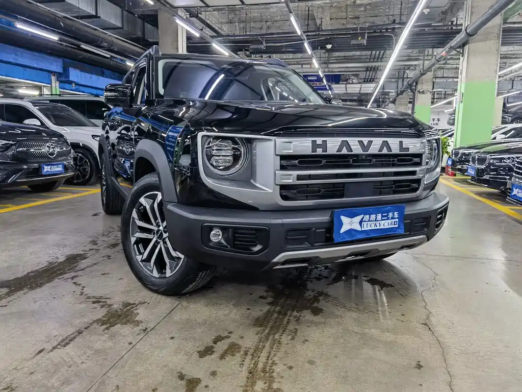Haval Big Dog — фото 3