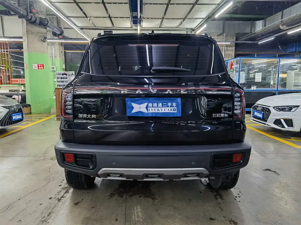 Haval Big Dog — фото 5
