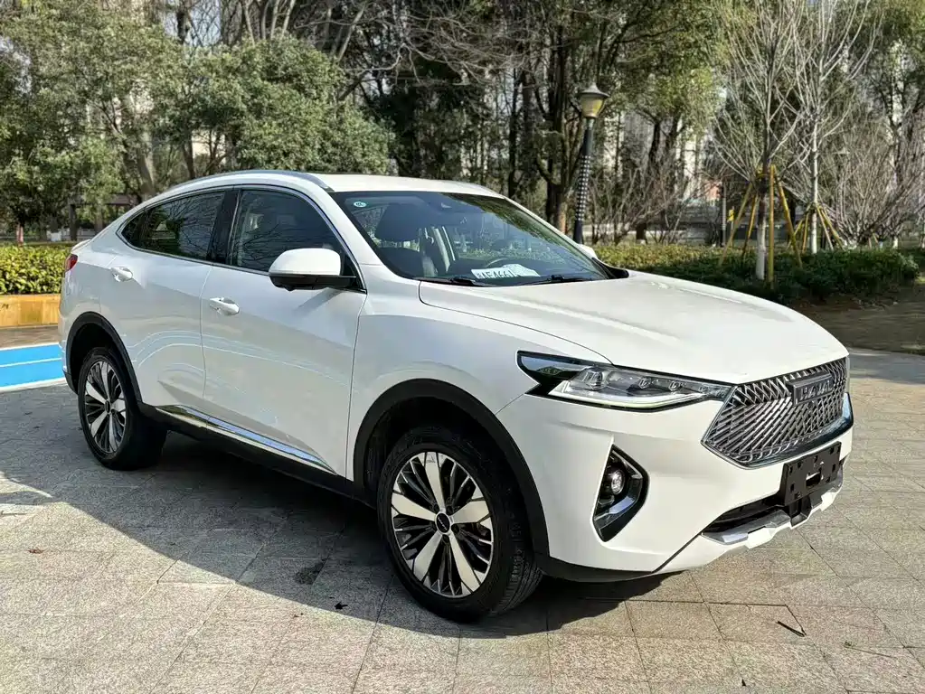 Haval F7x — фото 2