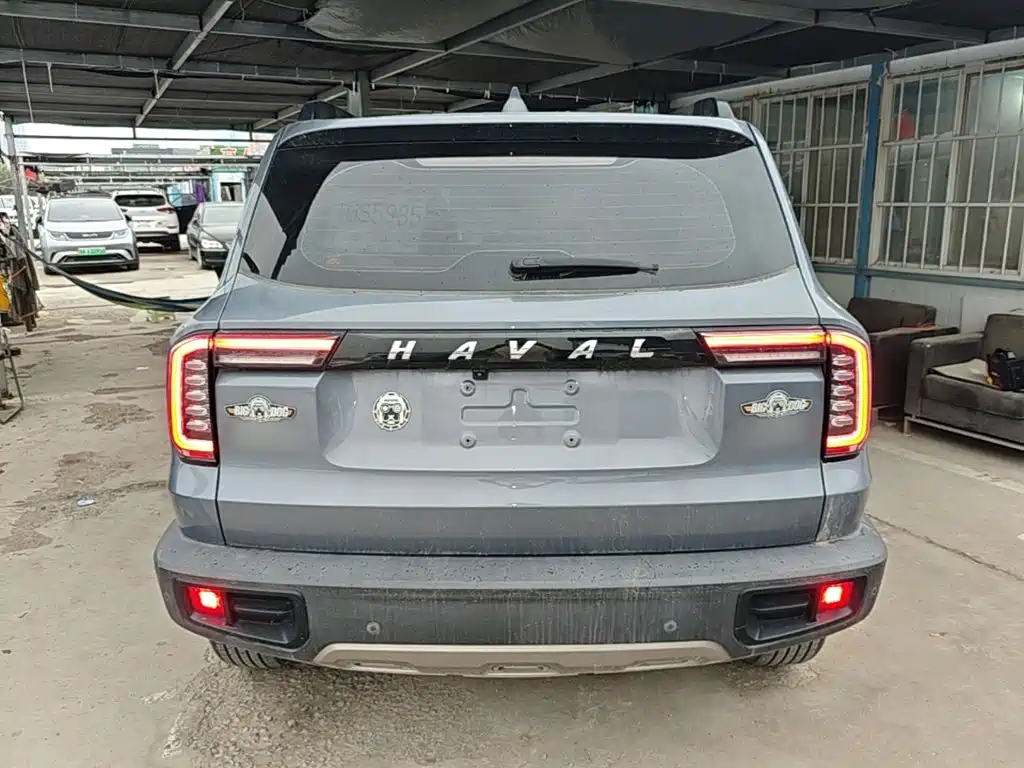 Haval Big Dog — фото 6
