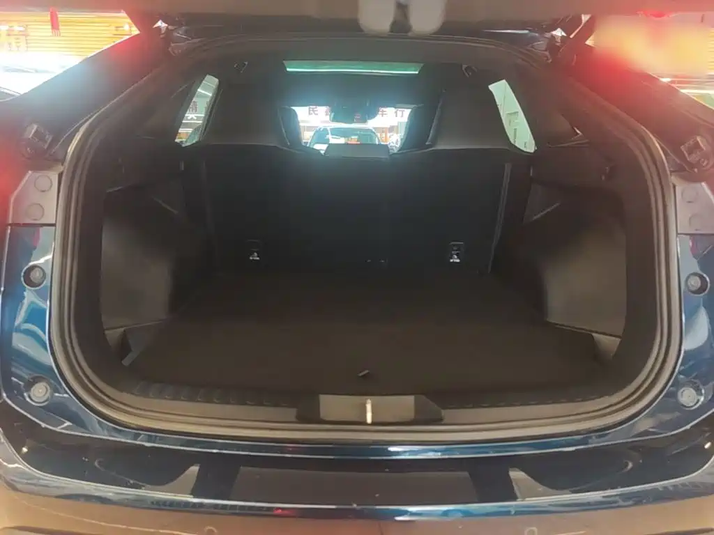 Haval H6S — фото 16