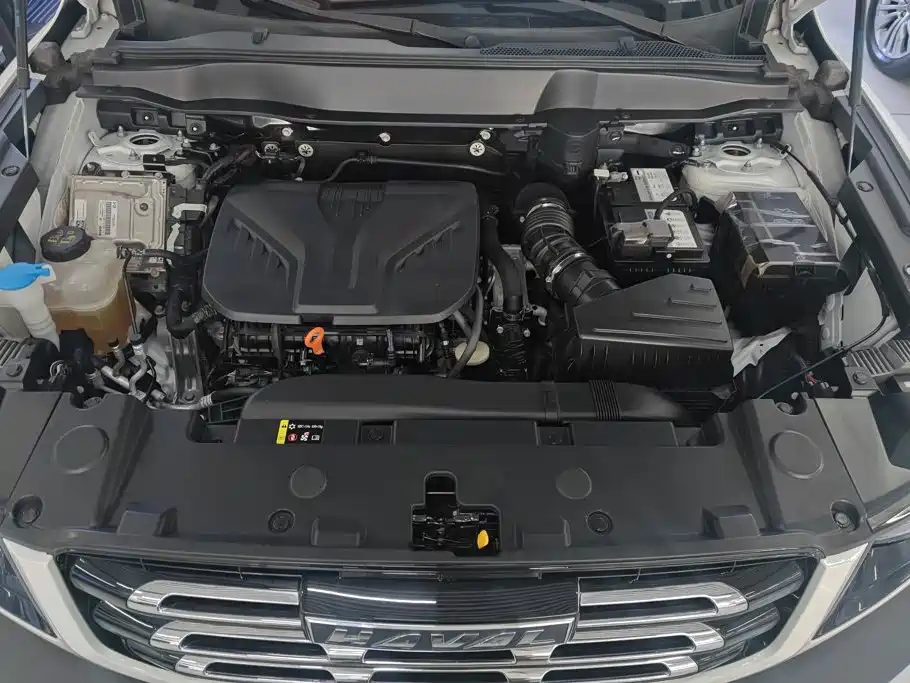 Haval Big Dog — фото 10