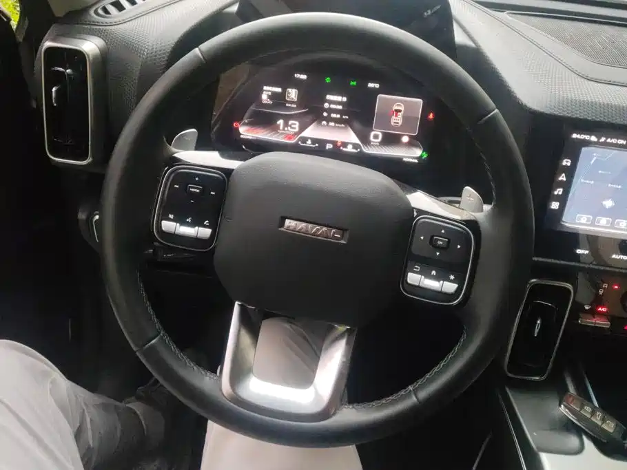 Haval Big Dog — фото 15