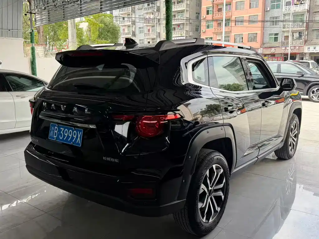 Haval Big Dog PLUS — фото 11