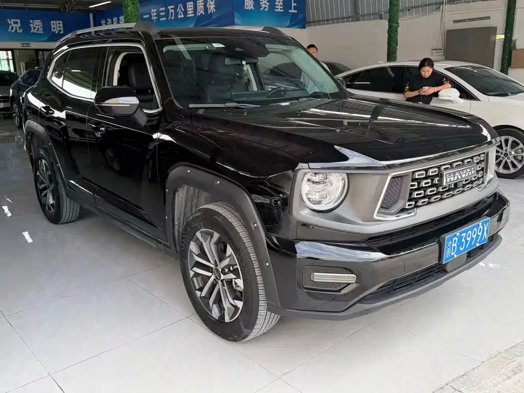 Haval Big Dog PLUS — фото 3