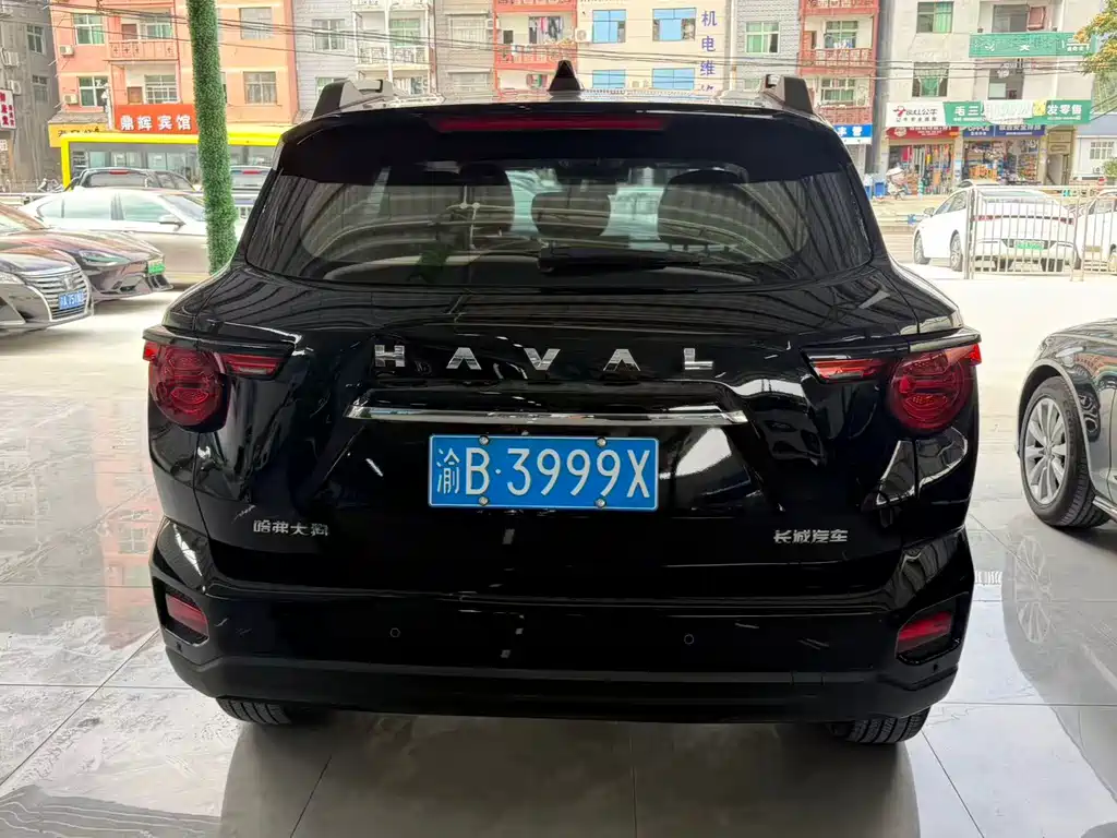 Haval Big Dog PLUS — фото 10