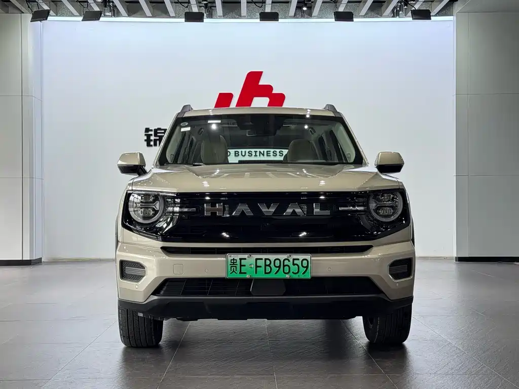Haval Big Dog PLUS New Energy — фото 2