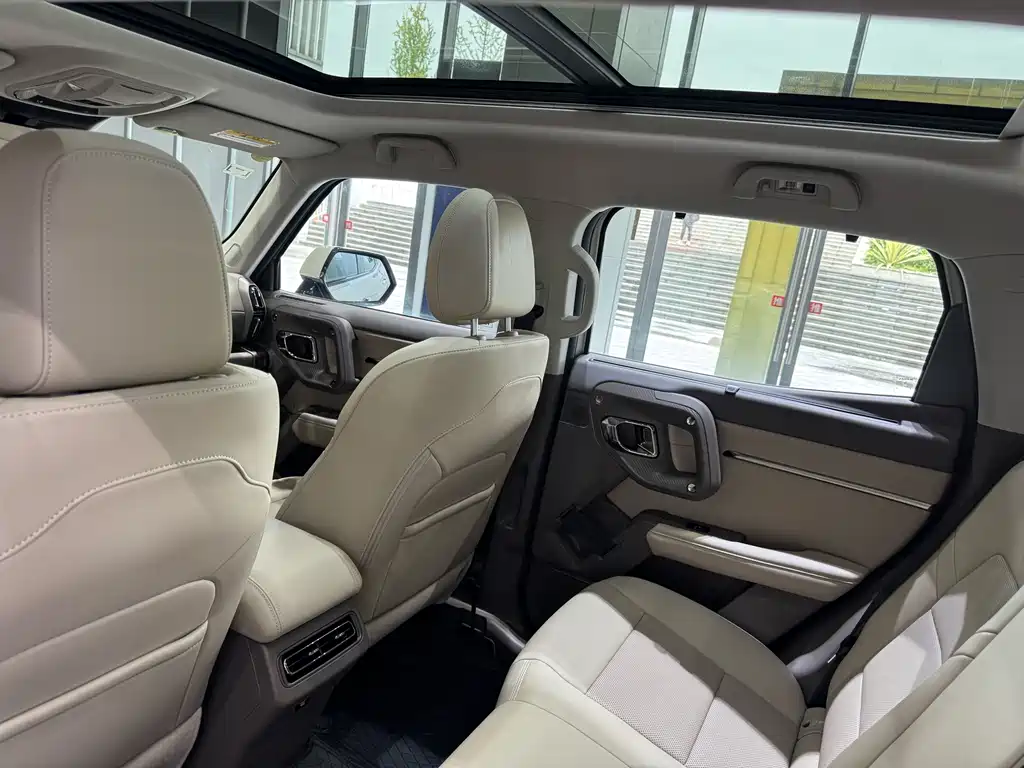 Haval Big Dog PLUS New Energy — фото 11