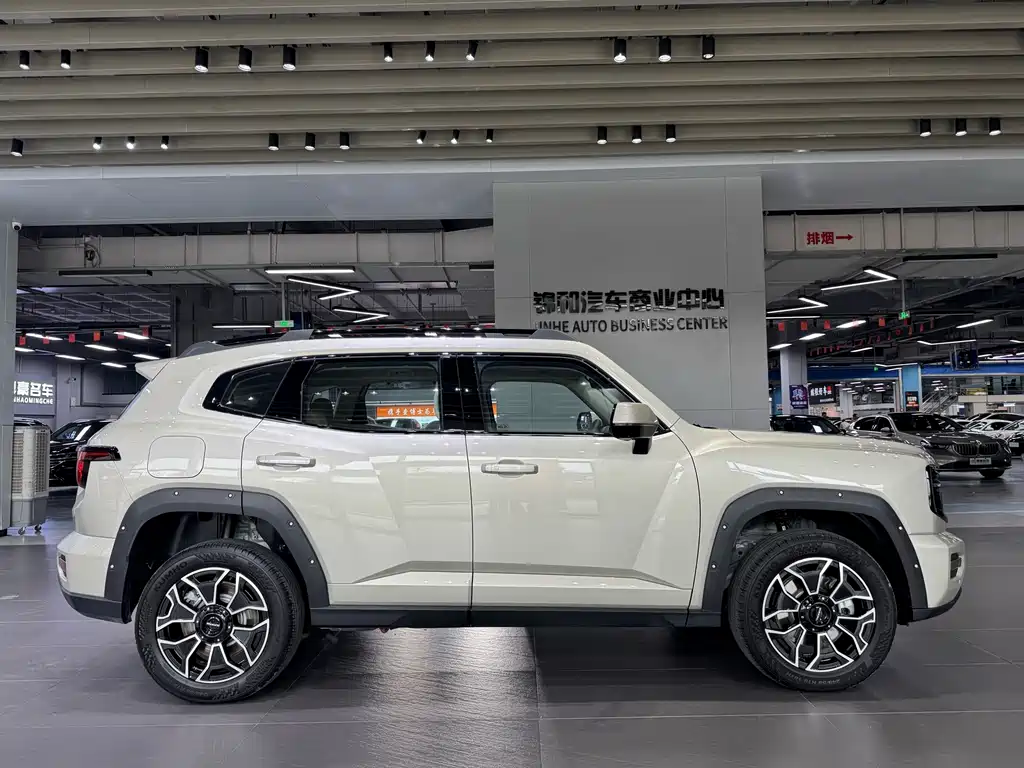 Haval Big Dog PLUS New Energy — фото 4