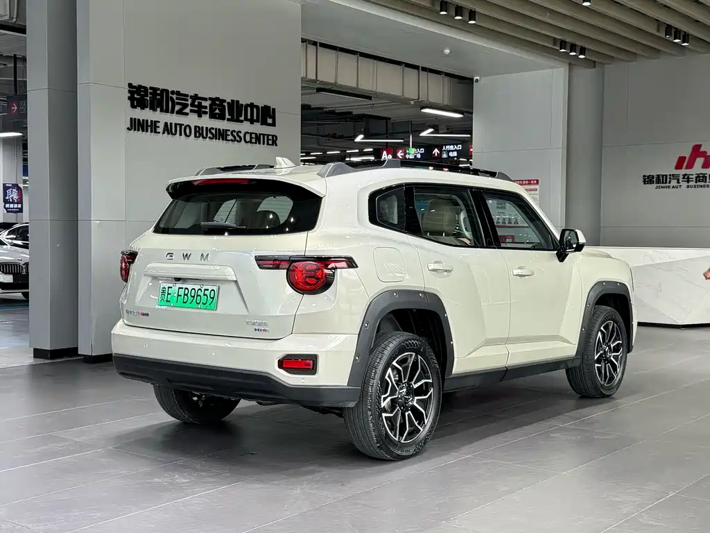 Haval Big Dog PLUS New Energy — фото 5