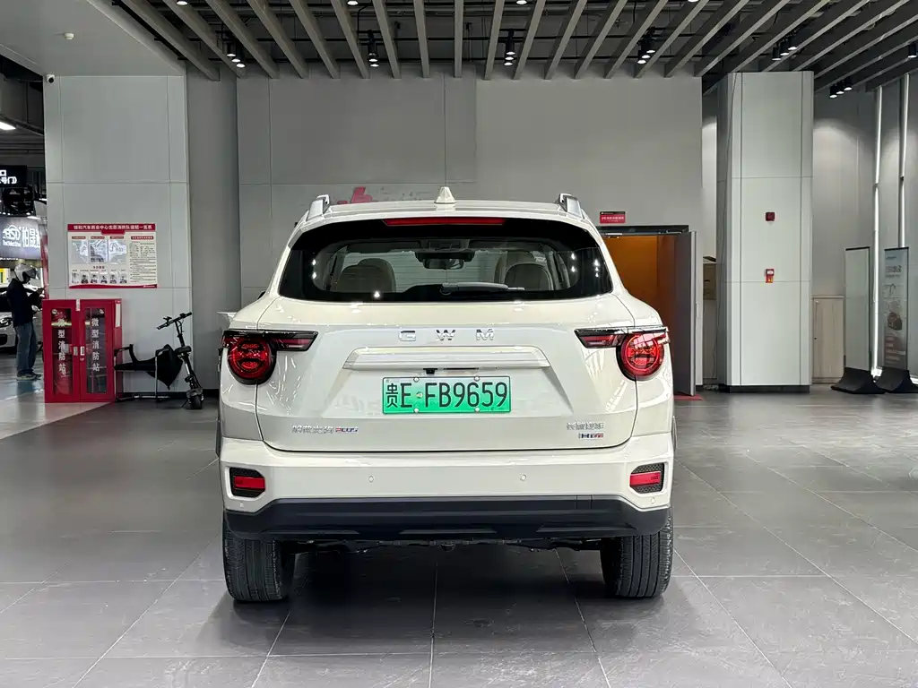 Haval Big Dog PLUS New Energy — фото 6