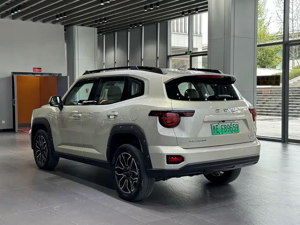 Haval Big Dog PLUS New Energy — фото 9
