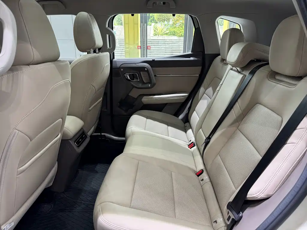 Haval Big Dog PLUS New Energy — фото 10