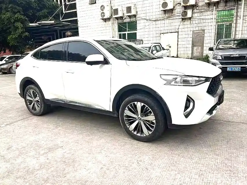 Haval F7x — фото 3