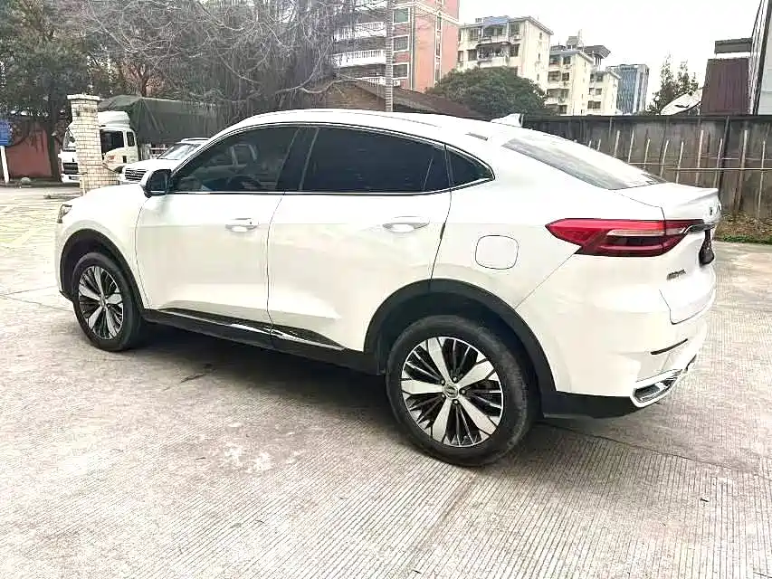 Haval F7x — фото 7