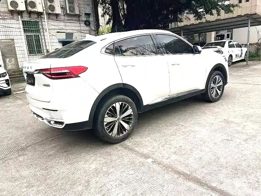Haval F7x — фото 9