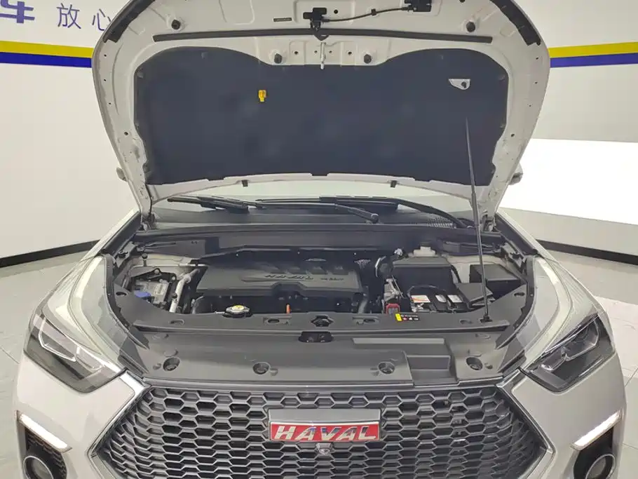 Haval H6 Coupe — фото 10