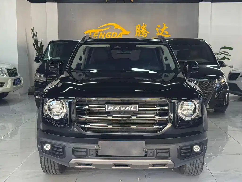 Haval Big Dog — фото 2