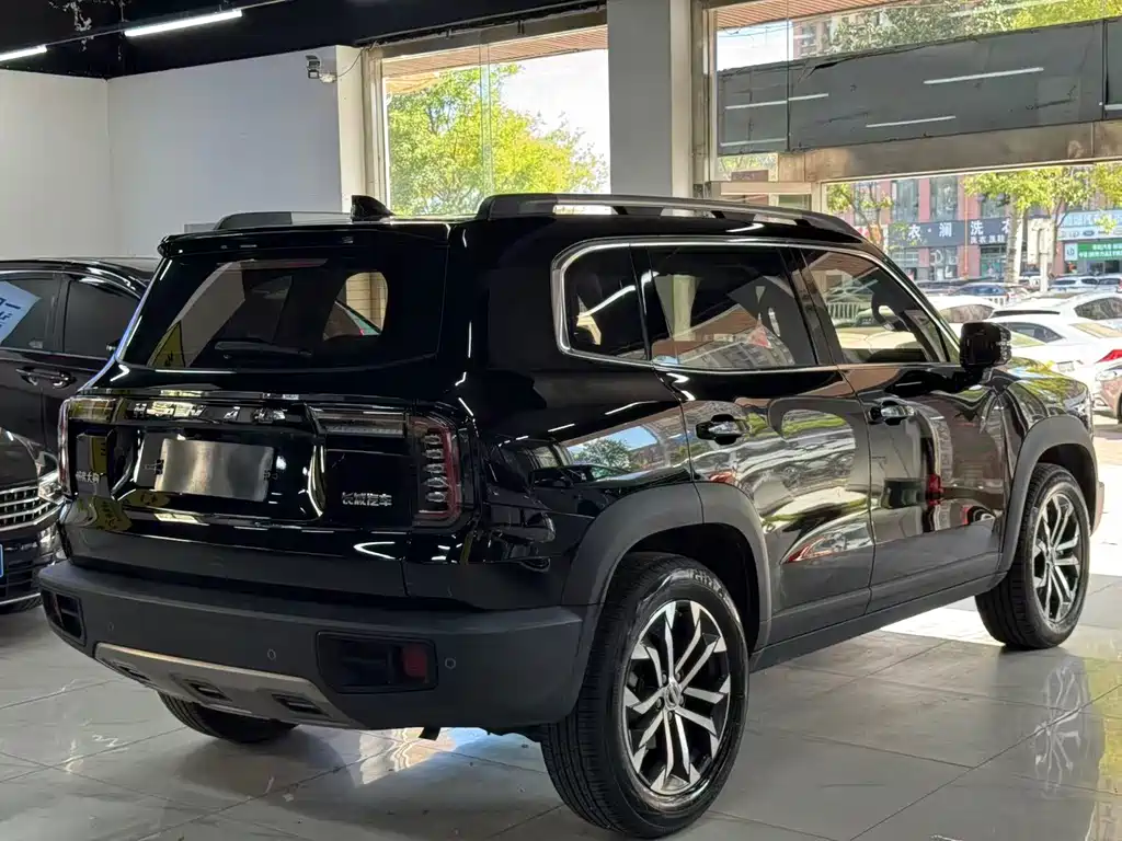 Haval Big Dog — фото 6