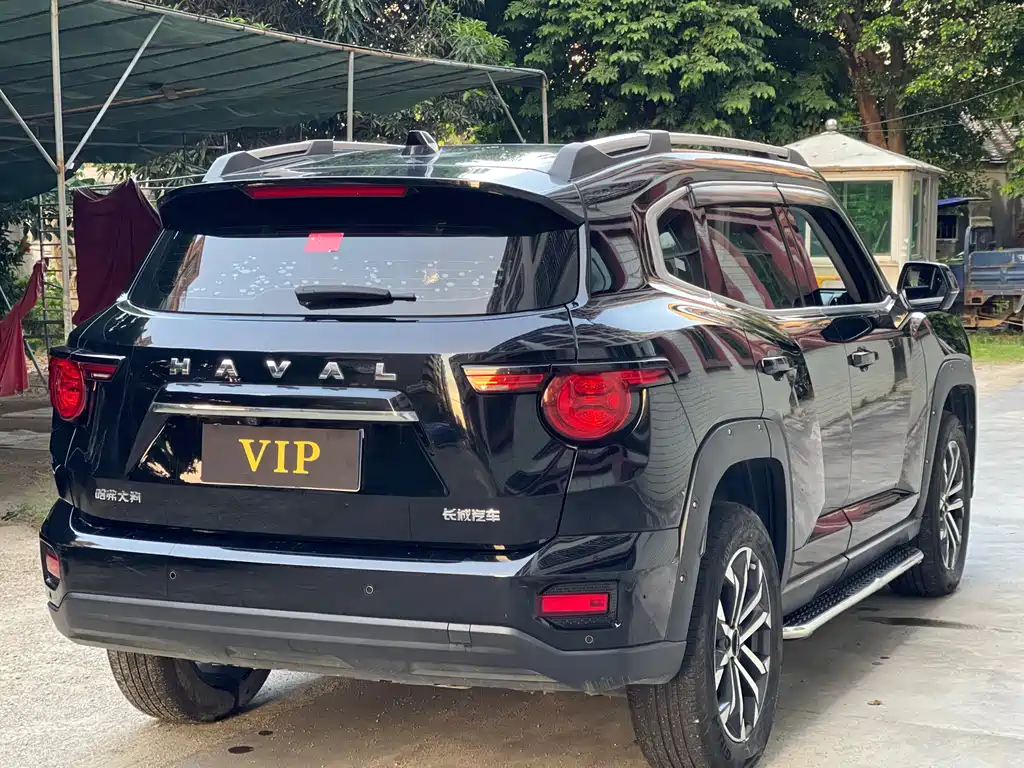 Haval Big Dog PLUS — фото 7