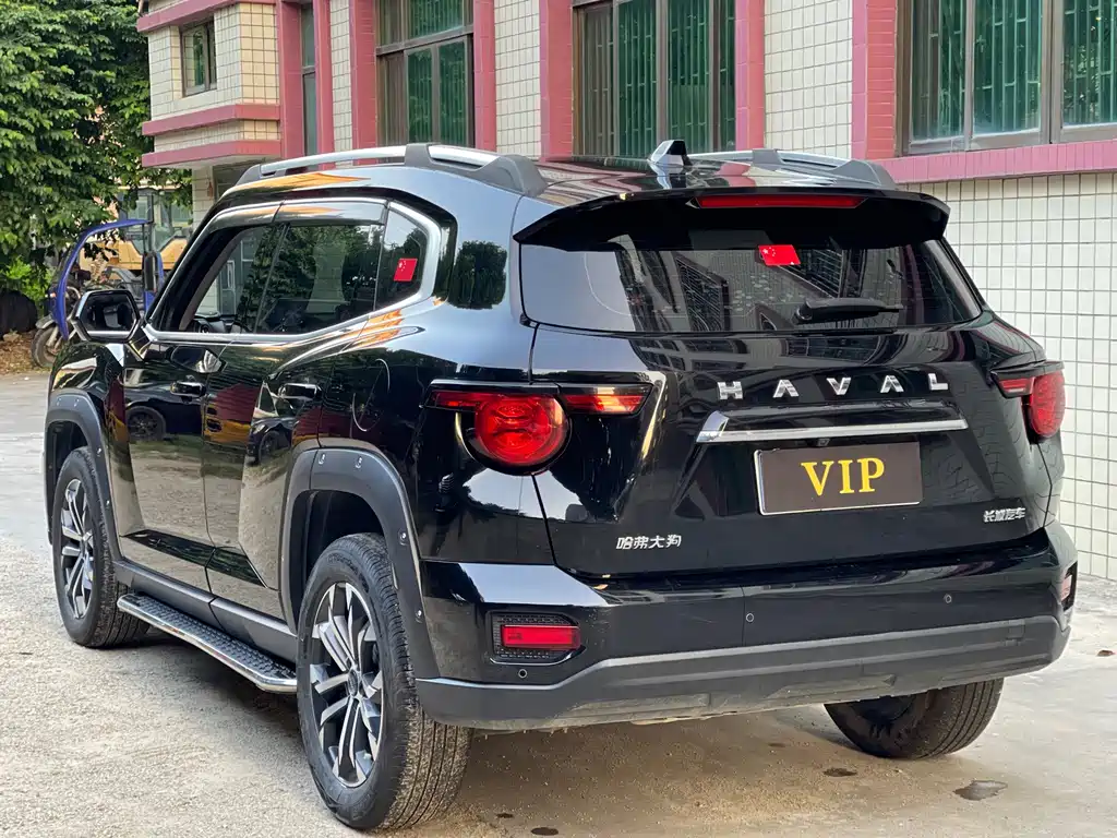 Haval Big Dog PLUS — фото 9