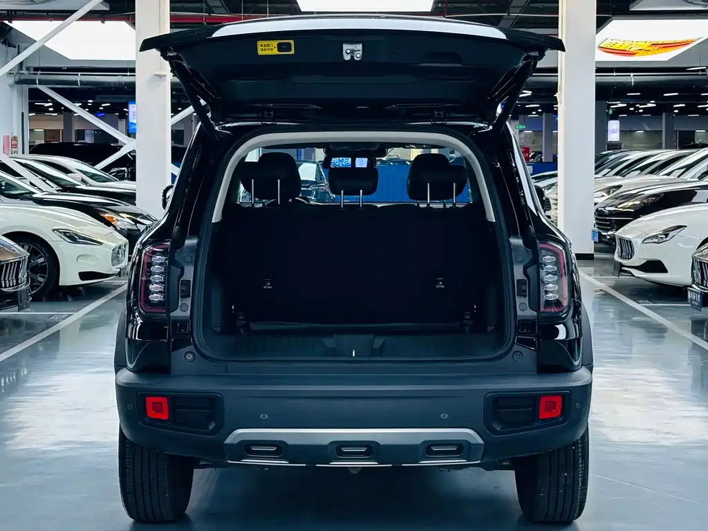 Haval Big Dog — фото 11