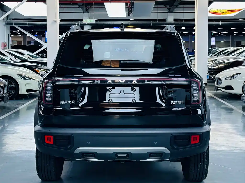 Haval Big Dog — фото 14