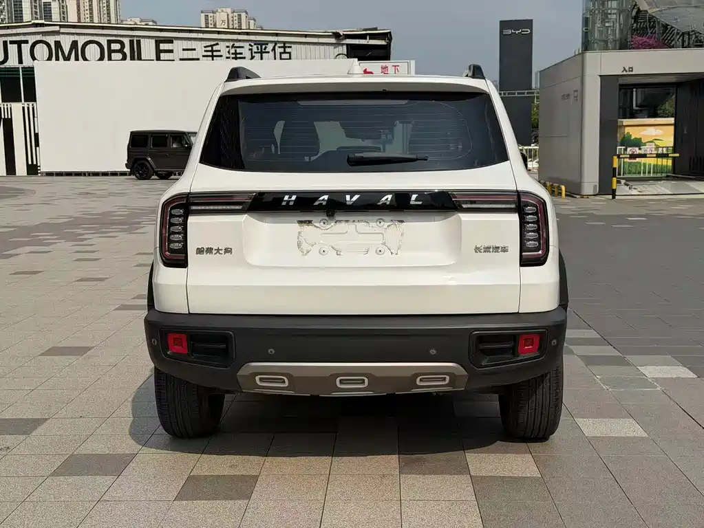 Haval Big Dog — фото 9