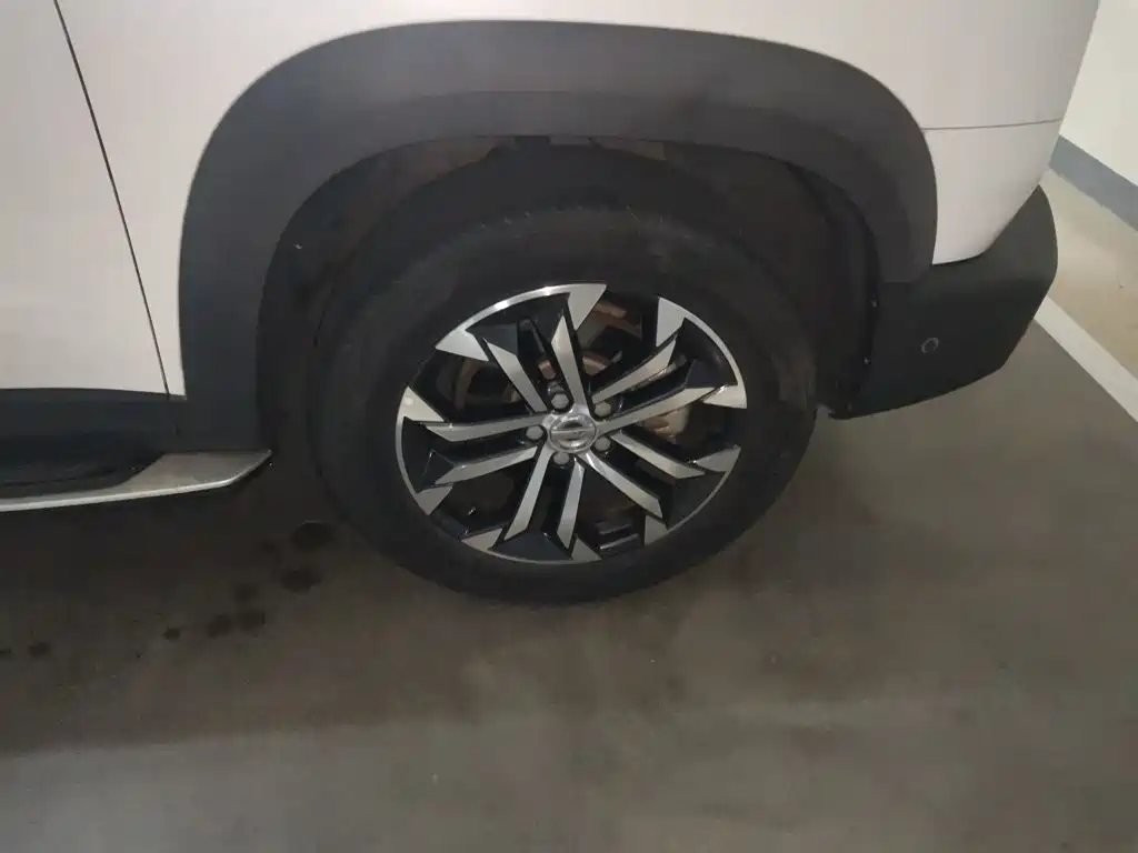 Haval Big Dog — фото 10