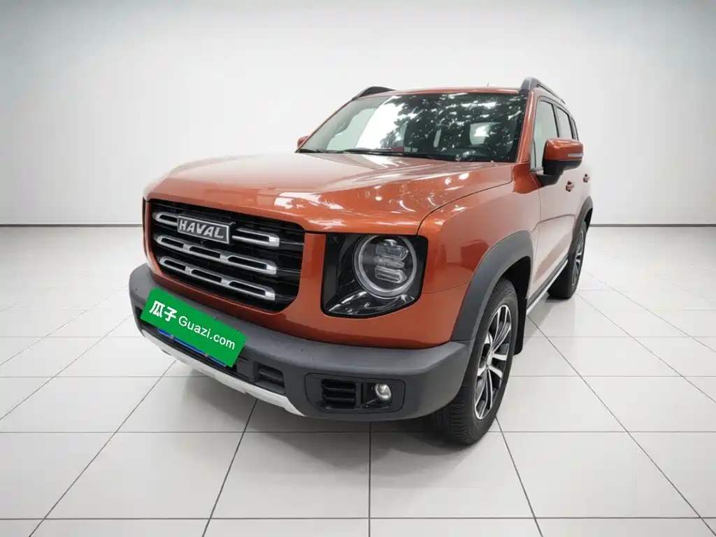Haval Big Dog