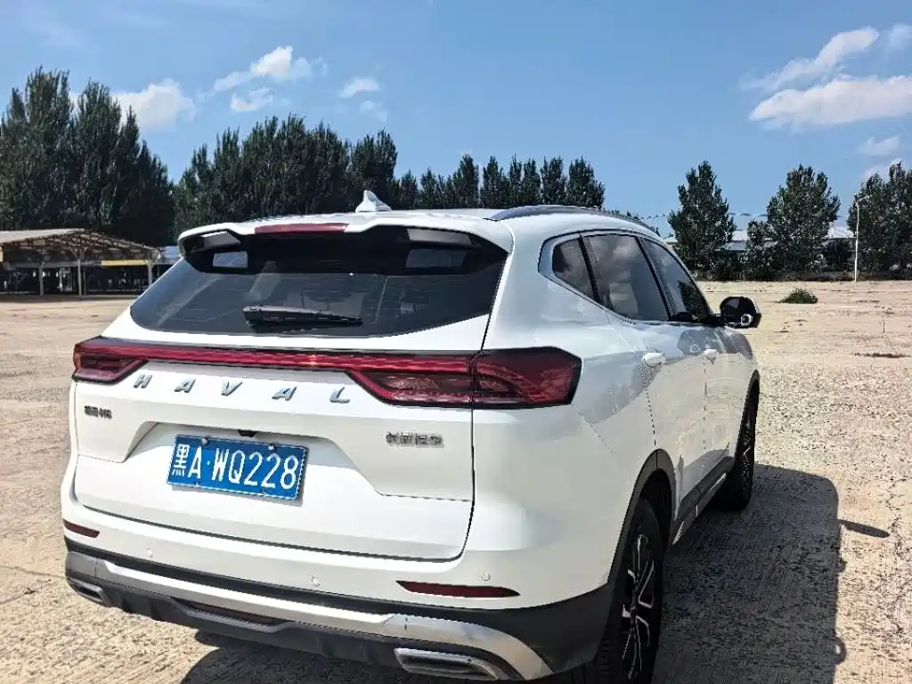 Haval H6 — фото 6