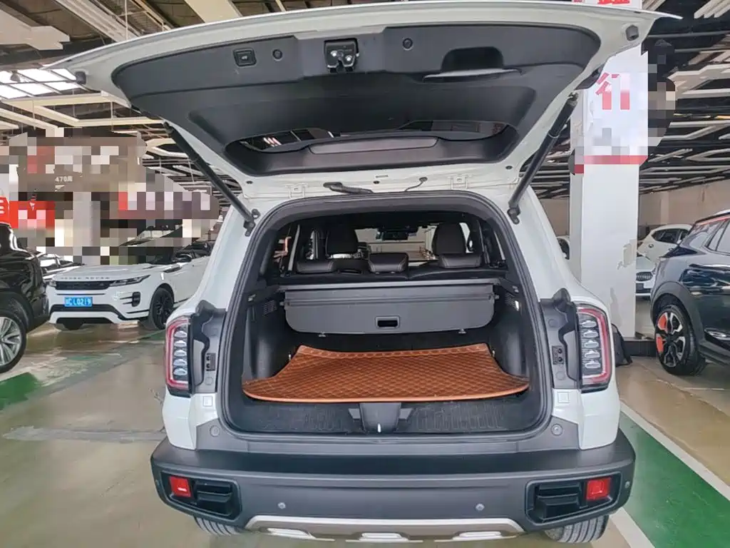 Haval Big Dog — фото 19