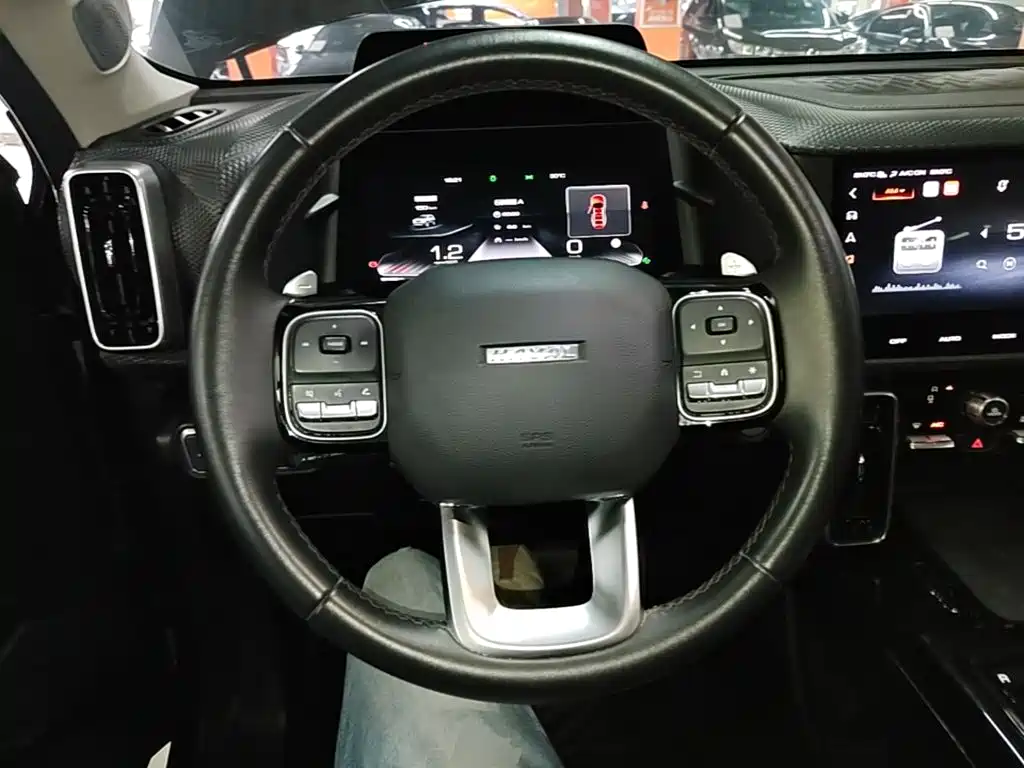 Haval Big Dog — фото 11